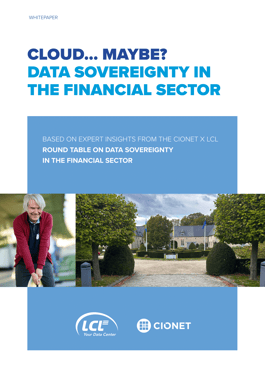 ZZ25 - 367 Whitepaper Financial sector 4-1